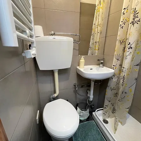 Apartment Mansardina Verdi Turin